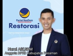 Peringati Hari Pahlawan, Anggota DPRD Pasaman, Nurul Afif : Teladani dan Cintai Pahlawanmu