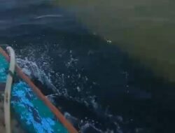Laut Menghitam Di Pulau Pelapis, Nelayan Tuding Limbah Smelter PT DIB Biang Kerok