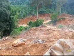 Tambang Batu Tanah Galian C Diduga Ilegal Viral Berlokasi di Lereng Bukit Kopisan Milik Afung