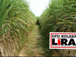 DPD LIRA KOLAKA Angkat Bicara: Diduga Rugikan Negara Miliaran Rupiah, APH Diminta Usut Dana LEM di Kabupaten Kolaka 