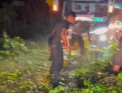 Respons Cepat! Satlantas Tebo Amankan Lokasi Pohon Tumbang di Malam Hari