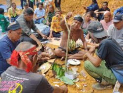 Ritual Adat Manggur Warnai Pembukaan Lahan Baru oleh PT PSM di Ketapang