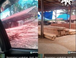 Kilang Kayu Ilegal Di Langkahan Tetap Beroperasi Di Duga APH Menerima Upeti !! Kapolri, DLHK, BPHL Aceh – Sumut Serta Gakkum Pusat Di Minta Berantas Habis
