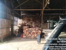 Gudang Peti Jeruk di Mempawah Diduga Ilegal, Tak Berizin dan Cemari Lingkungan