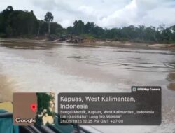 PETI di Sanggau : APH Diduga Terlibat, Pensiunan TNI Berperan Sebagai Koordinator