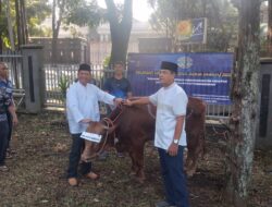 Pangkalan TNI AL Bandung Laksanakan Penyembelihan dan Penyaluran Daging Hewan Kurban Kepada Personel Lanal Bandung