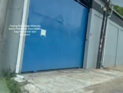 Dugaan Gudang Ilegal Penampung Daging Beku dan Bawang Bombay di Pontianak, Fakta Penangkapan oleh TNI AL di Ketapang