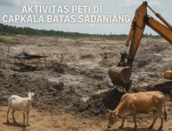 Terungkap: Aktivitas Tambang Emas Ilegal Capkala Bengkayang Didukung Alat Berat