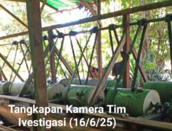 Tambang Ilegal Sayan Sandai: Bos PETI Teridentifikasi, Aparat Bungkam?