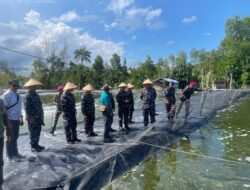 Wujud Dukung Program Ketahanan Pangan Nasional, Lanal Dabo Singkep Panen Udang Vaname