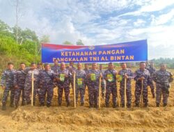 Lanal Bintan Perkuat Ketahanan Pangan Lewat Penanaman Jagung Sebagai Wujud Nyata Program Asta Cita