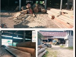 Pantas….Kebal Hukum Kilang Kayu Diduga Ilegal Ternyata Milik Oknum APH Setempat.