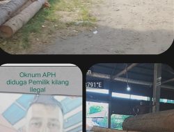 Pantas Kebal Hukum Kilang Kayu Diduga Ilegal Ternyata Milik Oknum Polisi Setempat Gawat