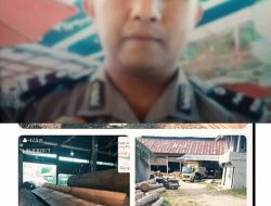 Oknum Polisi Aipda, Hen Diduga Terlibat Illegal Logging Dapat Disanksi Etik