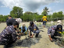 Peduli Keberlangsungan Ekosistem Laut, Lanal Bintan Turut Serta Penanaman 15.000 Bibit Mangrove