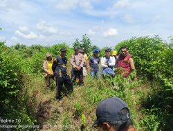 Olah TKP Kedua Kasus Pengrusakan Lahan di Bengkayang Dinilai Lambat