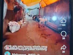 Pedagang Kambing Diduga Langgar Pemanfaatan Fasum-Fasos, Lurah Baraya Akui Sulit Tertibkan