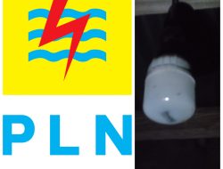 Kemana Anggaran Tebas Bayang 2025, Warga Kampung 6 Rantau Bingin Mengalami Pemadaman Listrik