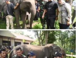 Ketua DPRD Lampung: Atensi Presiden Jadikan Way Kambas Percontohan Nasional Harus Dikawal Bersama