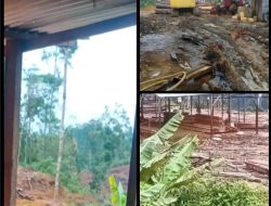 Kilang Kayu Di Tengah Hutan Beutong Di Duga Ilegal Satgas PKH DiMinta Usut Tuntas Pelaku Ilegal Logging…Yang Merusak Ekosistem