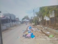 Tumpukan Sampah di Pinggir Jalan: Krisis Kebersihan yang Terabaikan