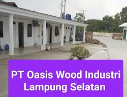 Sunarya Minta Pertanggung Jawaban PT oasis Wood Industri Sesuai Aturan Saat komunikasi Dengan Tim media Yang Konfirmasi Tentang Pekerja Yang Alami Kecelakaan Kerja 