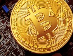 Pasar Aset Bitcoin Tetap Kokoh, Mengapa Penurunan Pasar Dapat jadi Sinyal Positif bagi Investor?