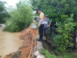 Ngeri !! Ini Dampak Jika Tanggul Di Dusun Timbangan Gampong Teungoh Jebol Keselamatan Warga Terancam
