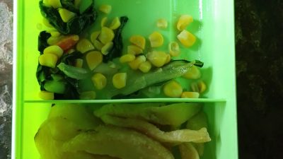 skandal MBG di desa sumberjo Lampung Timur di nilai kurang memenuhi SOP layak nya seperti program Badan gizi Nasional