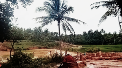 Tambang Pasir Liar di Triharjo Merbau Mataram Masih Beroperasi, Polisi Kehutanan Dinilai Tidak ada Nyali